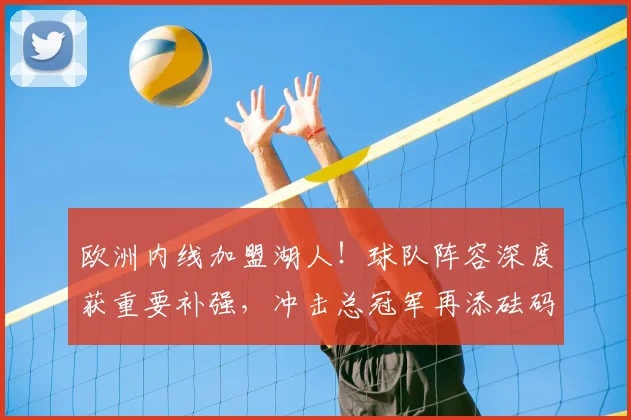 欧洲内线加盟湖人！球队阵容深度获重要补强，冲击总冠军再添砝码